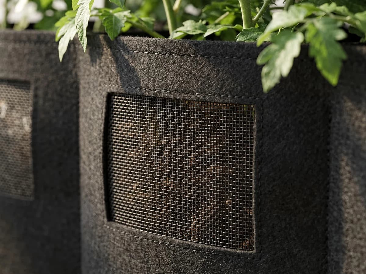 Macro sur une fenetre d'aeration laterale du bac tissu avec racines blanches fibreuses visibles au contact du maillage