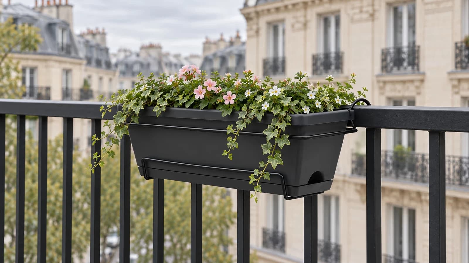 Jardinière de rambarde gris foncé garnie de plantes basses sur un garde-corps de balcon, façade et ciel visibles