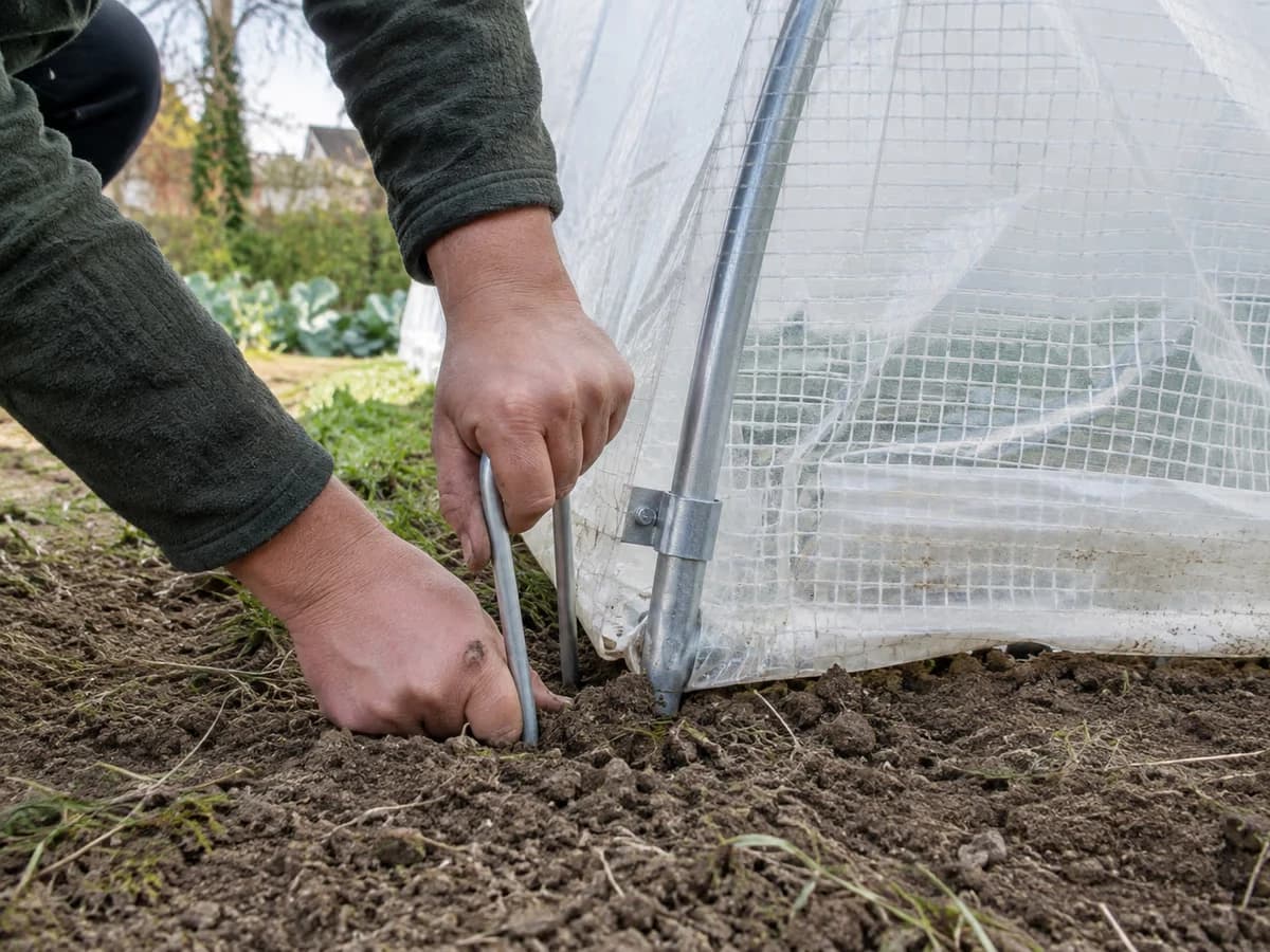 Mains nues plantant un piquet d'ancrage métallique au pied d'un arceau de serre tunnel