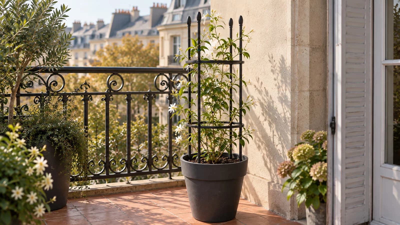 Tour de treillis métallique noir plantée dans un grand pot de balcon, tiges de jasmin enroulées autour des montants, garde-corps flou en arrière-plan