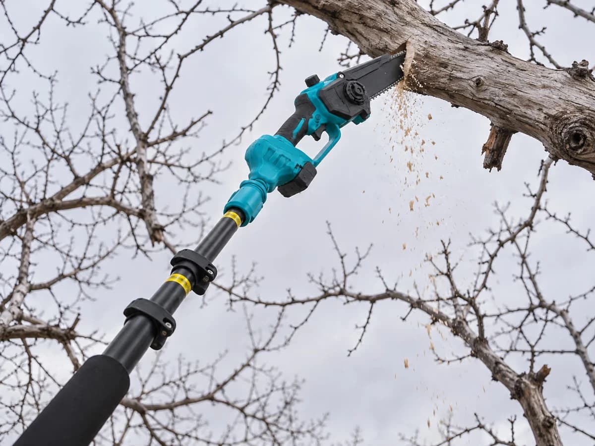 Tête de coupe au bout d'une perche télescopique entamant une branche morte de pommier, vue depuis le sol