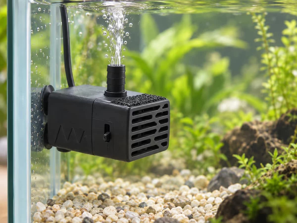 Le boîtier noir d'une petite pompe immergée maintenue par des ventouses contre la paroi d'un aquarium