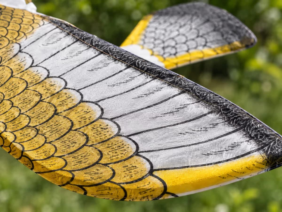 Ailes et queue en tissu imprimé d'une silhouette de rapace factice, couture et armature visibles de près