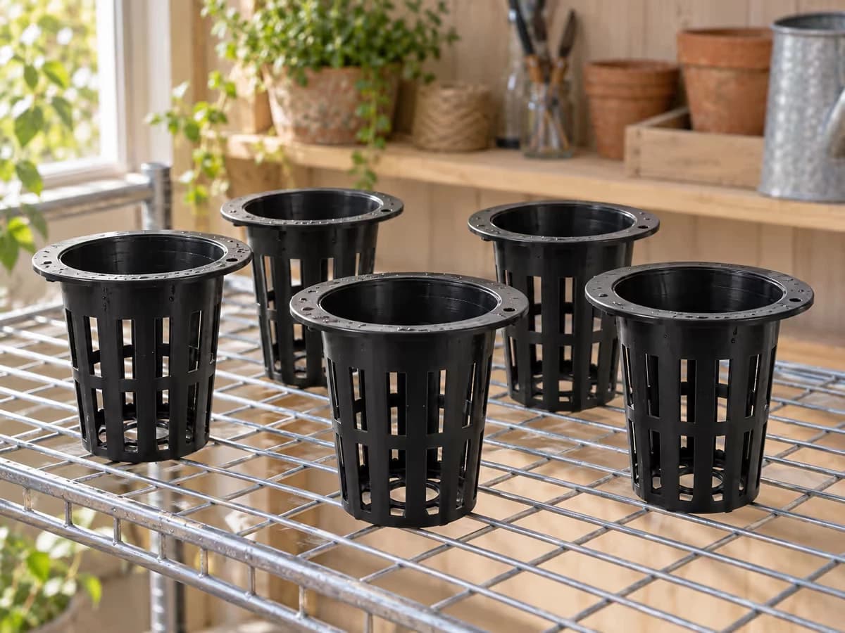 Paniers de culture propres posés à plat et espacés sur une grille de séchage
