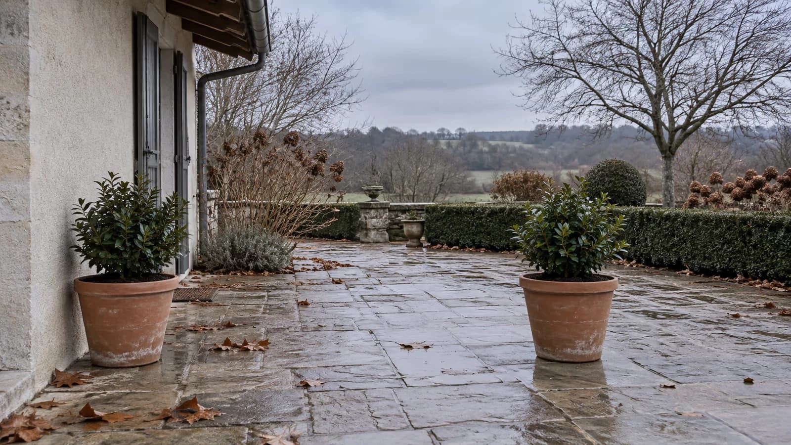 Arbuste en pot sur une terrasse d'hiver, pot rentré contre un mur et pot resté dehors côte à côte sous un ciel gris