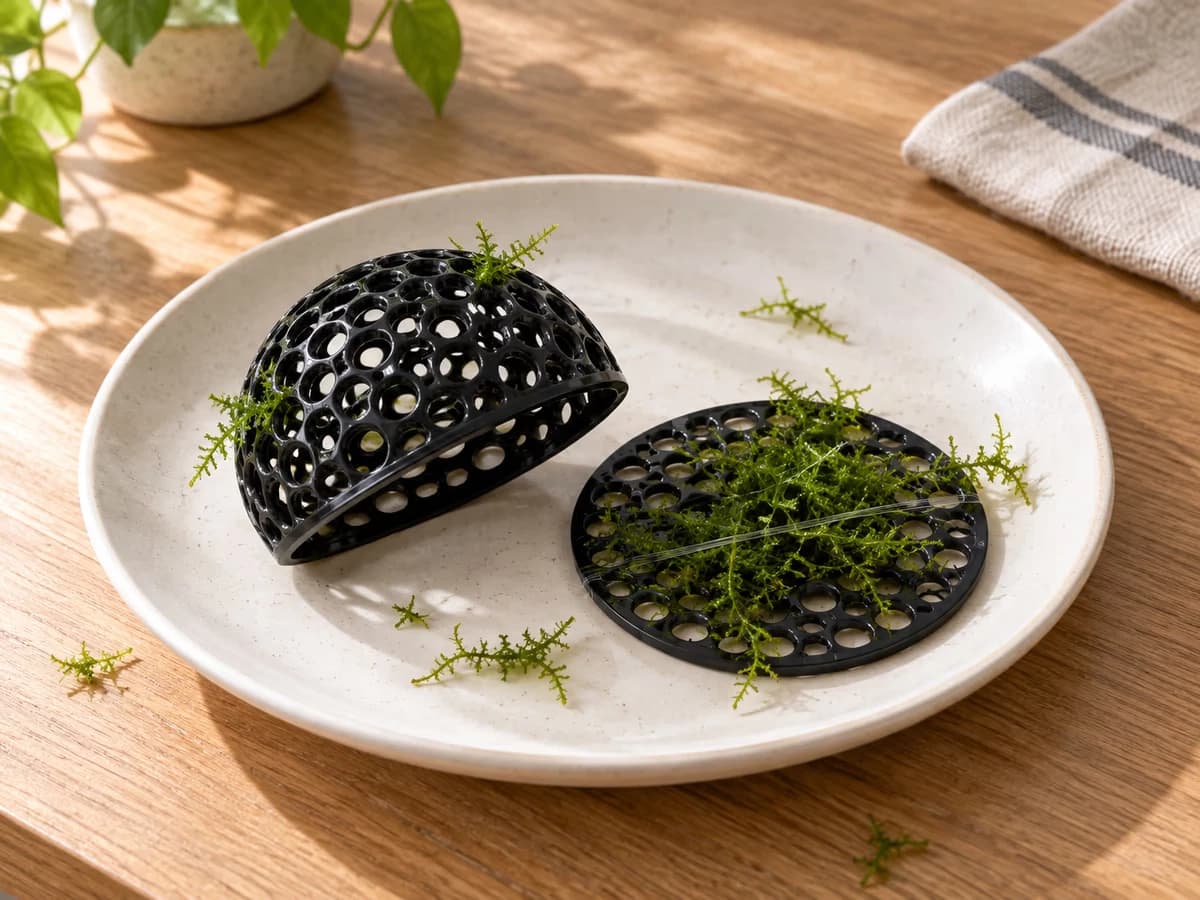 Les deux pièces de la cabane ajourée reposant sur une assiette claire, un brin de mousse enroulé sur le disque et un autre engagé dans une ouverture