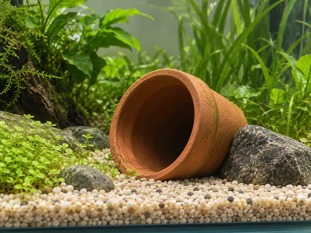 Un pot de terre cuite couché sur le flanc dans un bac planté, son bord calé contre une pierre sombre