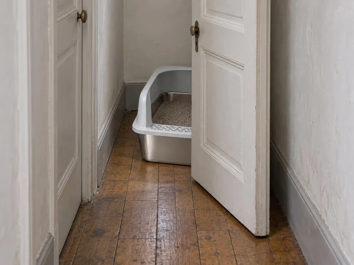 Bac de propreté posé au fond d'un couloir étroit, porte entrouverte juste devant la cuve, parquet ancien