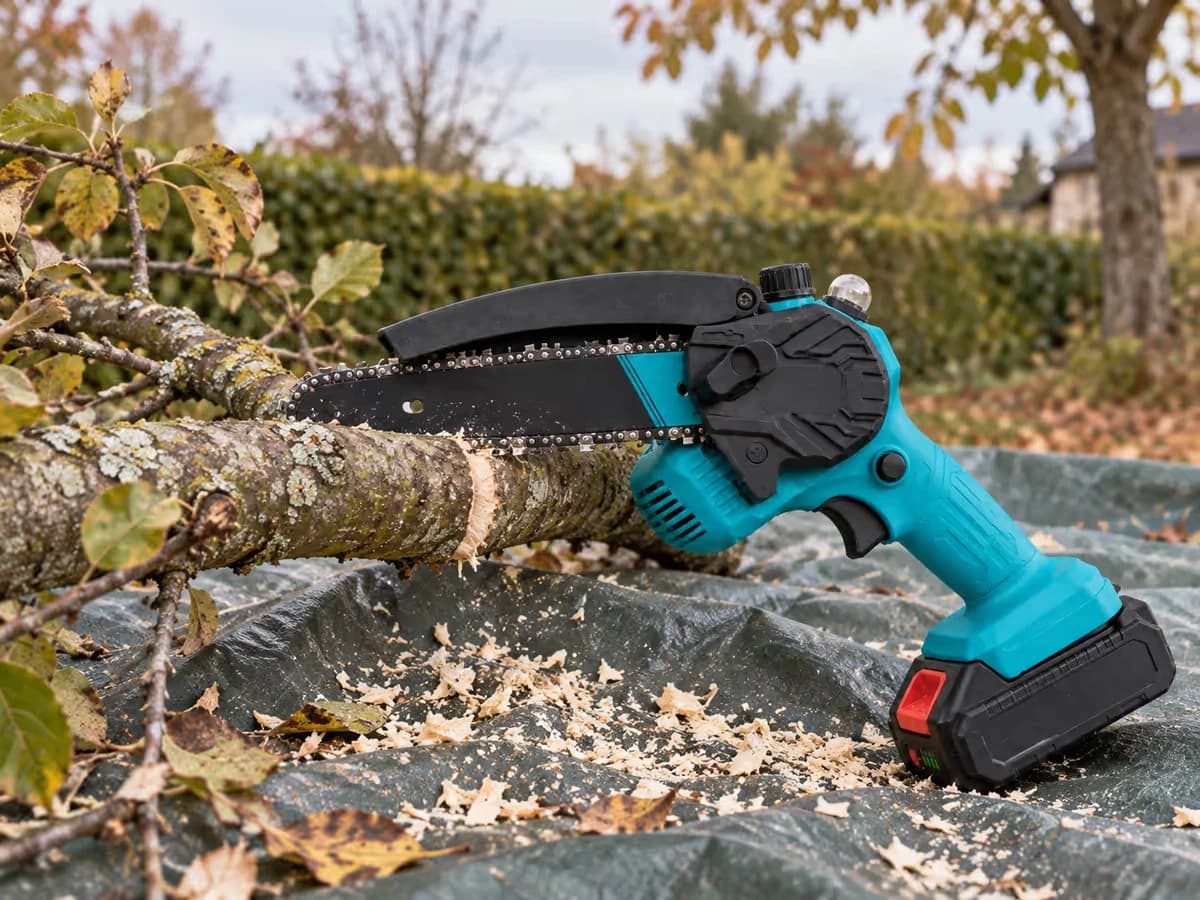 Branche de pommier entaillée par le dessous puis sciée par le haut, guide-chaîne engagé dans le bois, copeaux pâles sur une bâche, haie et ciel d'automne en arrière-plan