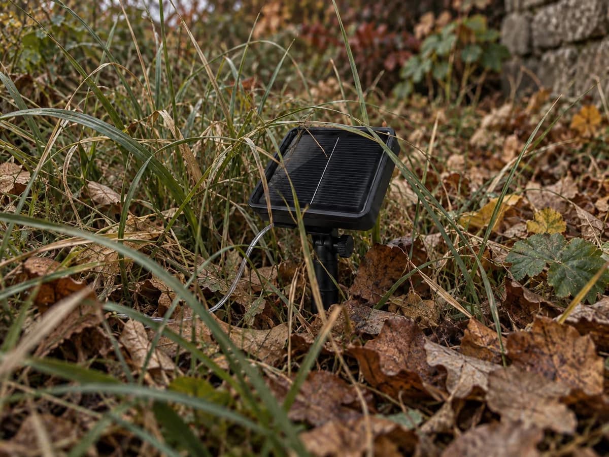 Piquet solaire étouffé par des herbes hautes et des feuilles mortes en automne