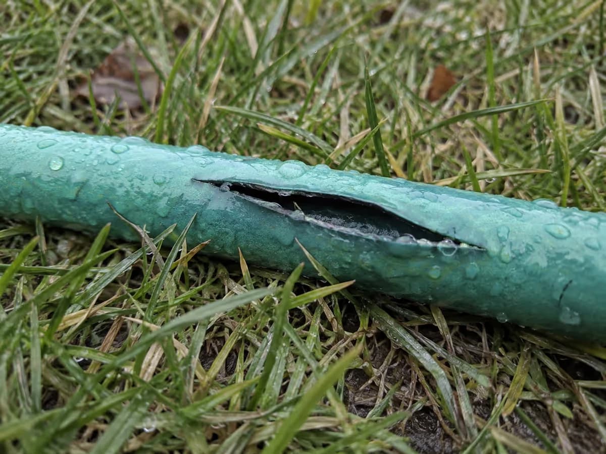 Gros plan sur une fente longitudinale dans un tuyau d'arrosage vert clair posé sur l'herbe humide