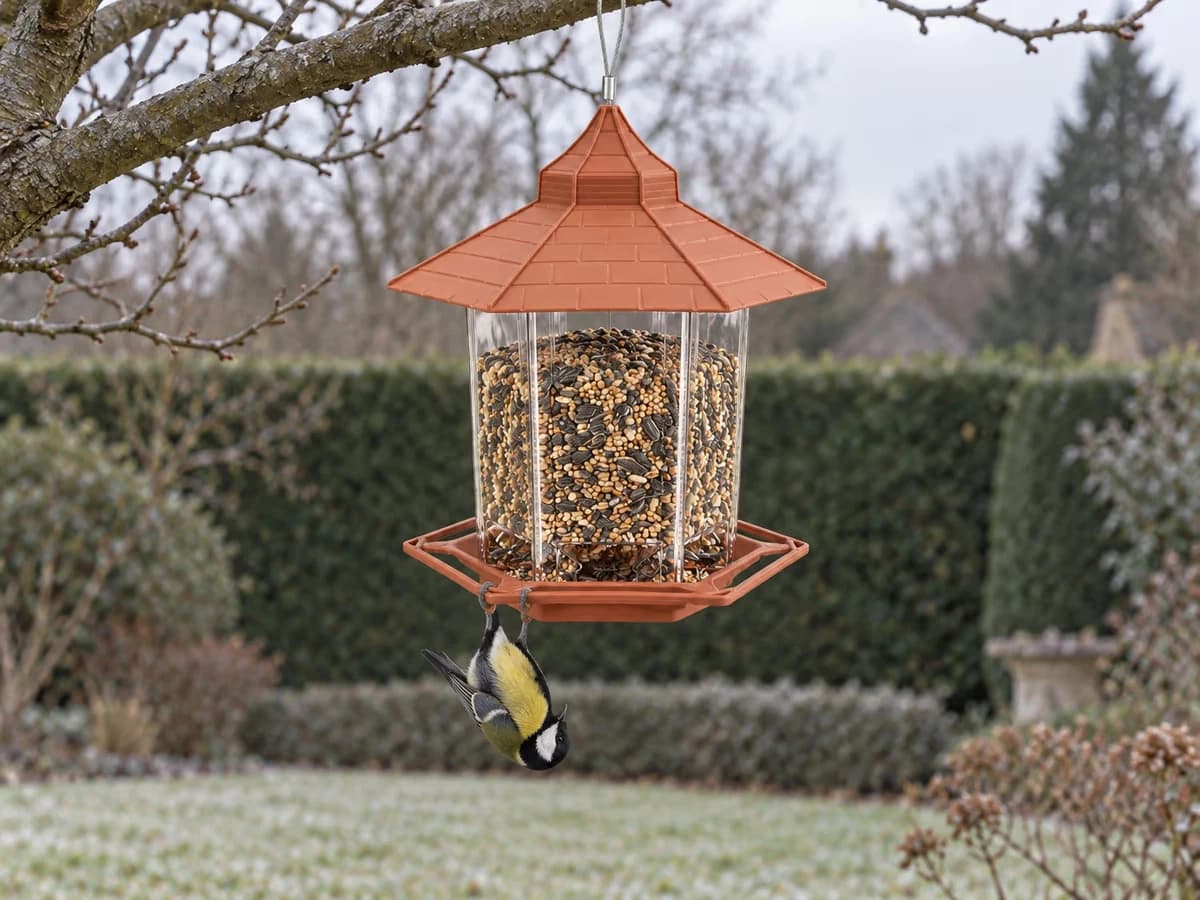 Mésange charbonnière suspendue tête en bas au perchoir d'un silo transparent à toit de tuiles terracotta, jardin d'hiver en arrière-plan