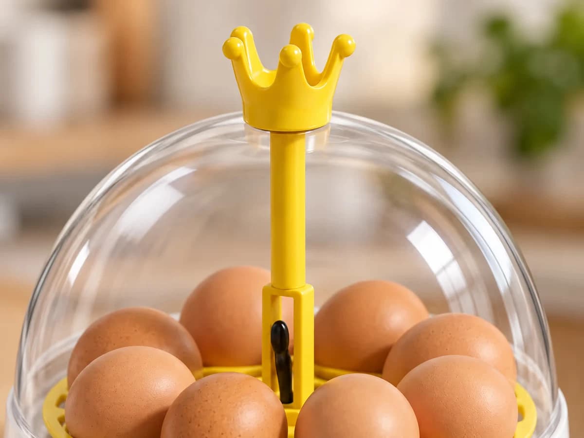 Gros plan sur la couronne jaune au sommet du dôme transparent d'une couveuse compacte, axe central en vue