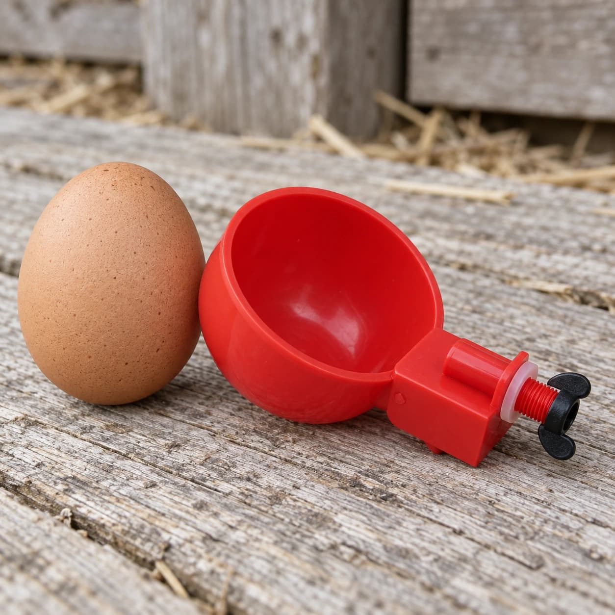 Bol abreuvoir rouge posé près d'un oeuf, pour donner l'échelle du bol