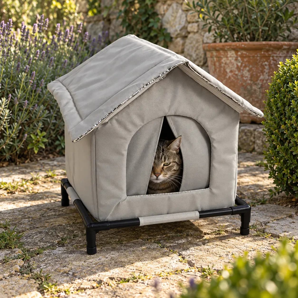 Abri pour chat sur une terrasse en pierre, un chat tigré passe la tête entre les deux pans