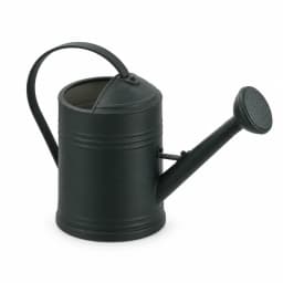 Arrosoir 2 L noir mat à long bec, pomme d'arrosage en place, posé de trois quarts sur fond blanc