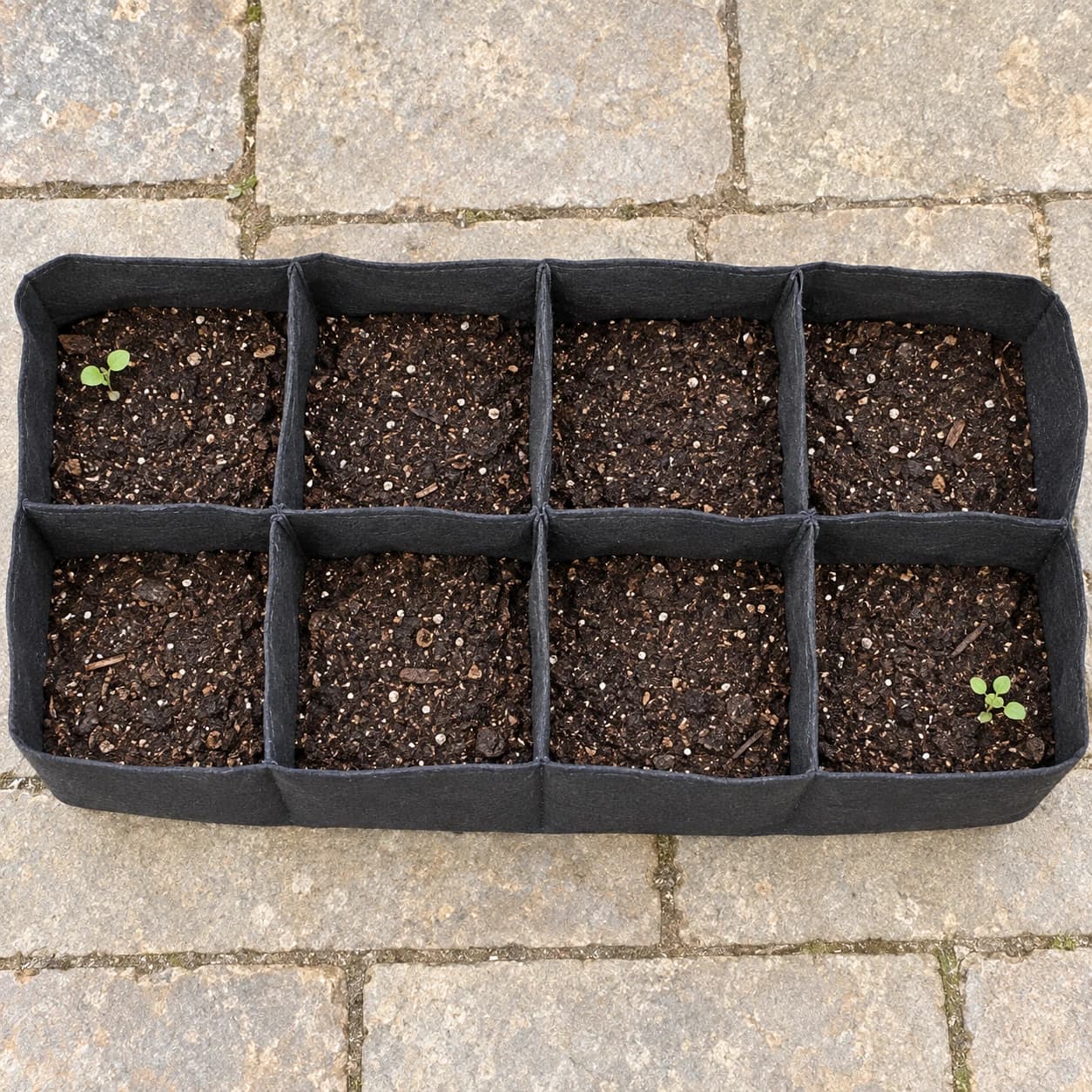 Vue de dessus des huit espaces de plantation