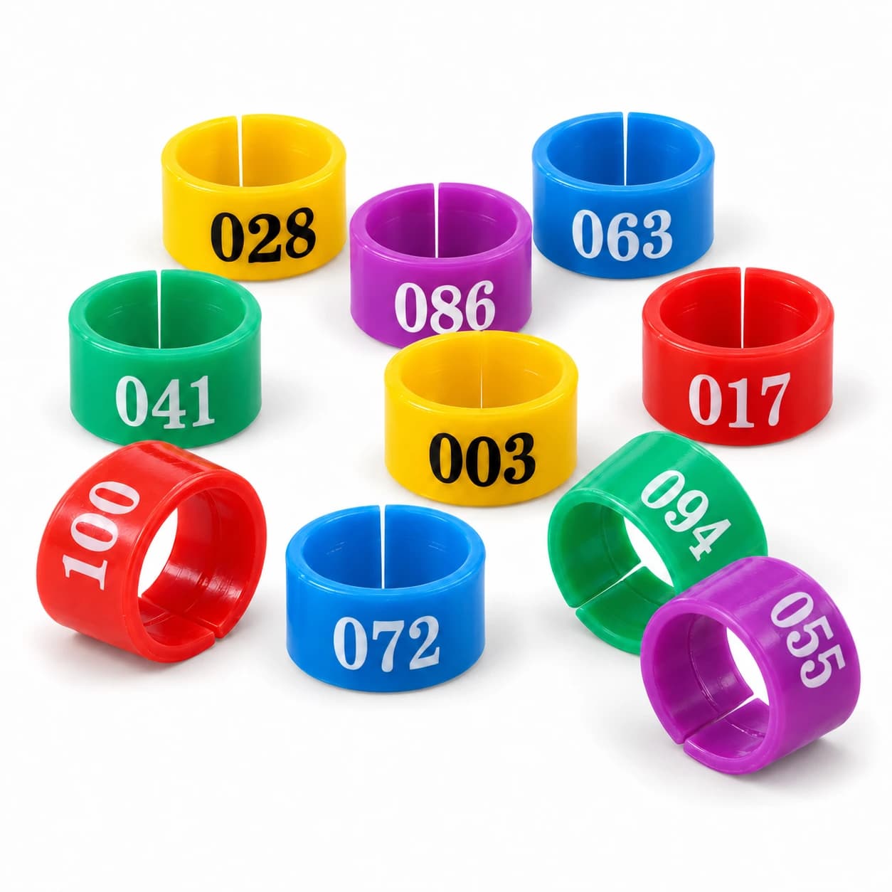 Anneaux de patte ouverts en plastique des cinq couleurs du lot, numérotation visible sur chaque bague