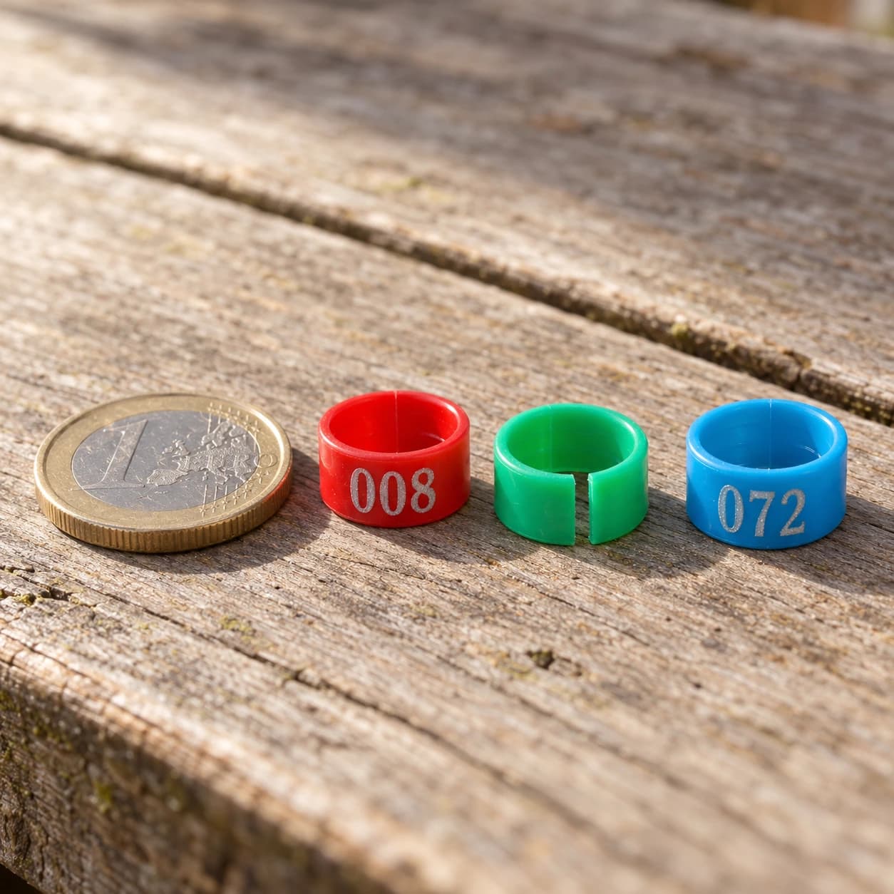 Deux anneaux rouge et bleu posés sur une table en bois patiné, une pièce de un euro comme échelle