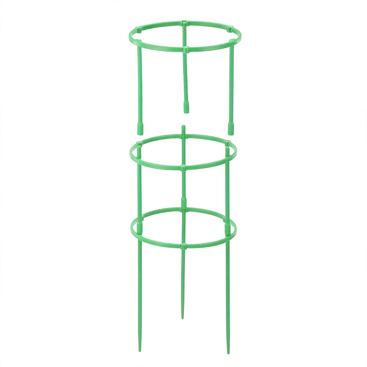 Cage en demi-cercles de plastique vert assemblés en anneau autour d'un pied de tomate
