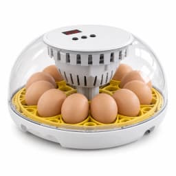 Couveuse ronde blanche 12 oeufs avec dôme transparent et plateau jaune, vue de trois quarts sur fond blanc