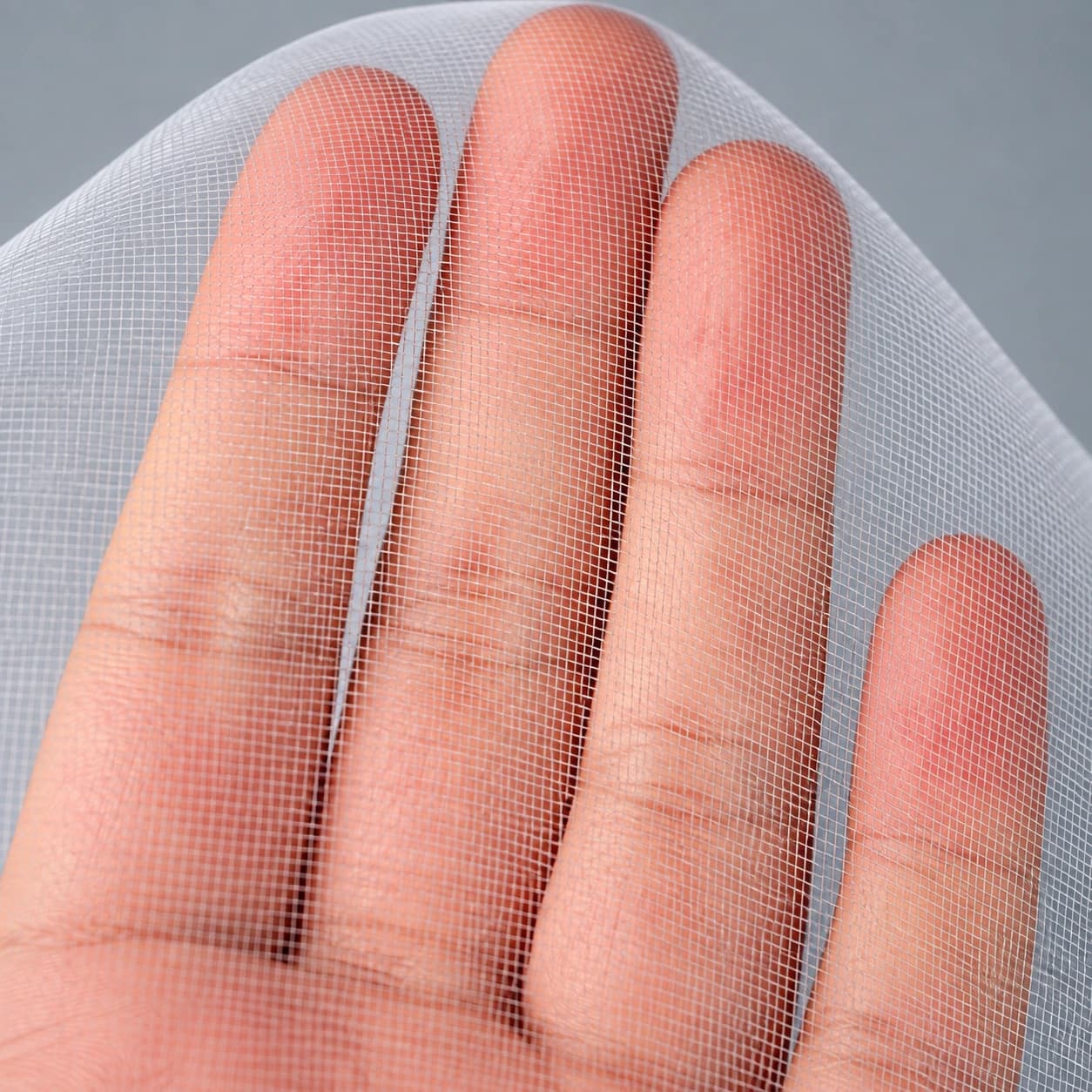 Détail de la finesse et de la transparence du filet