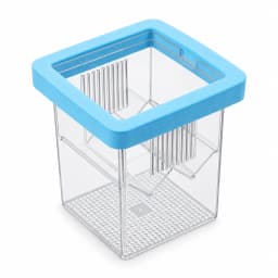 La boîte d'élevage à collier de mousse bleu, vue de trois quarts sur fond blanc