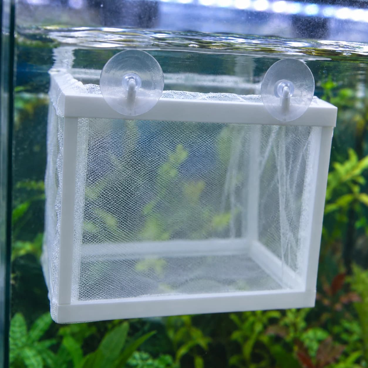Gros plan sur la maille fine du panier et sur l'une de ses deux ventouses, fixée au bord du cadre