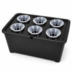 Kit de germination hydroponique noir assemblé, bac et couvercle à six paniers translucides sur fond blanc
