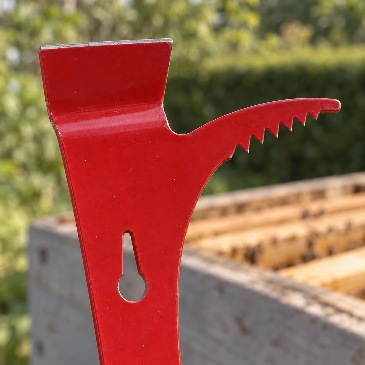 Gros plan sur le crochet dentelé et l'onglet plat cintré du levier apicole, peinture rouge et acier inox
