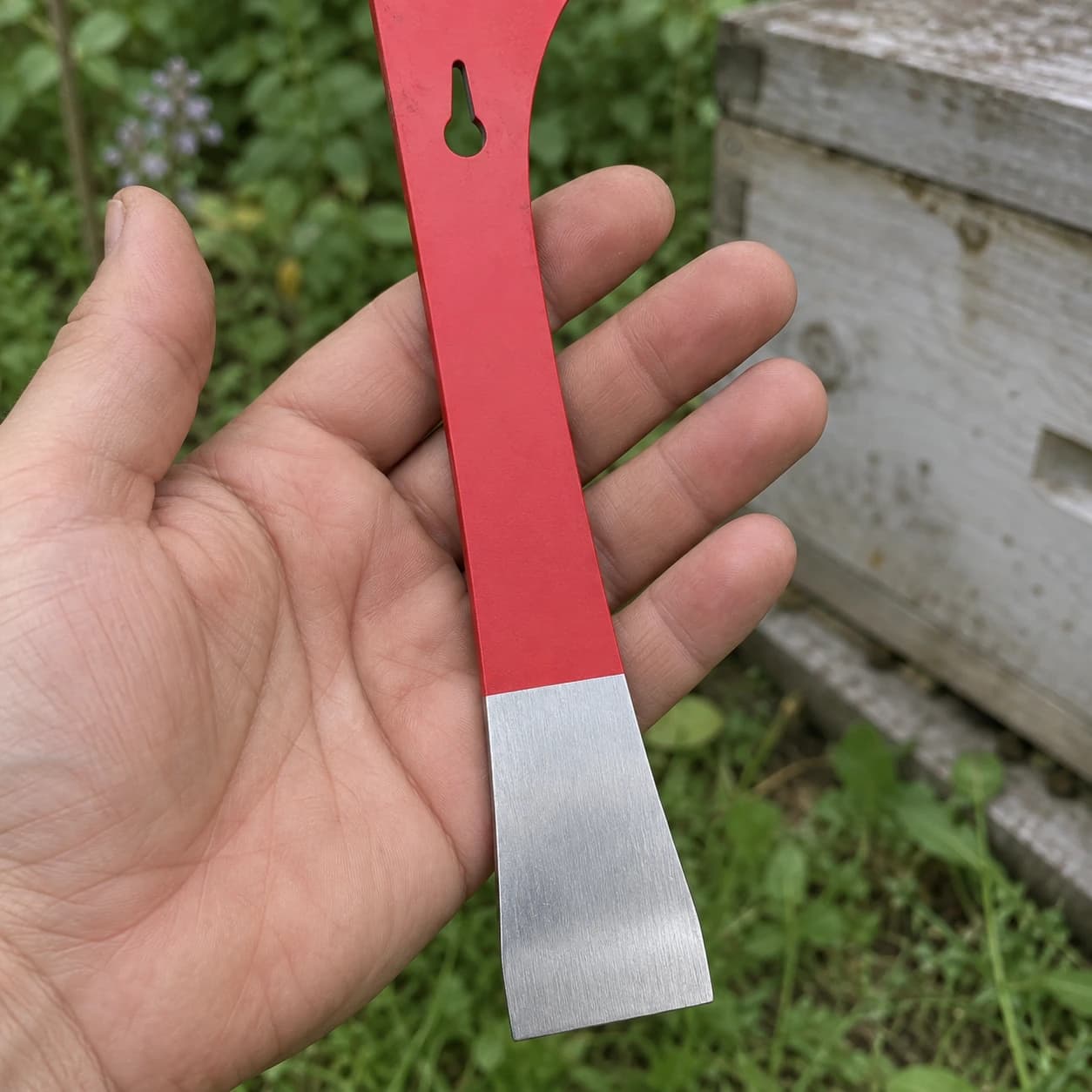 Le levier-grattoir apicole tenu dans une main ouverte, lame plate inox et corps rouge, à l'échelle de la paume