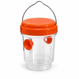Piège suspendu orange sur fond blanc