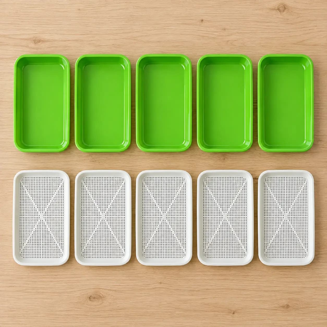 Lot de 5 plateaux de germination hydroponique réutilisables, vue 5
