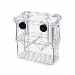 La boîte d'élevage transparente entière, couvercle en place, deux ventouses noires visibles sur fond blanc