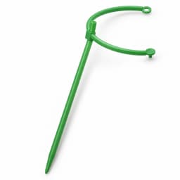Un module de tuteur vert sur fond blanc