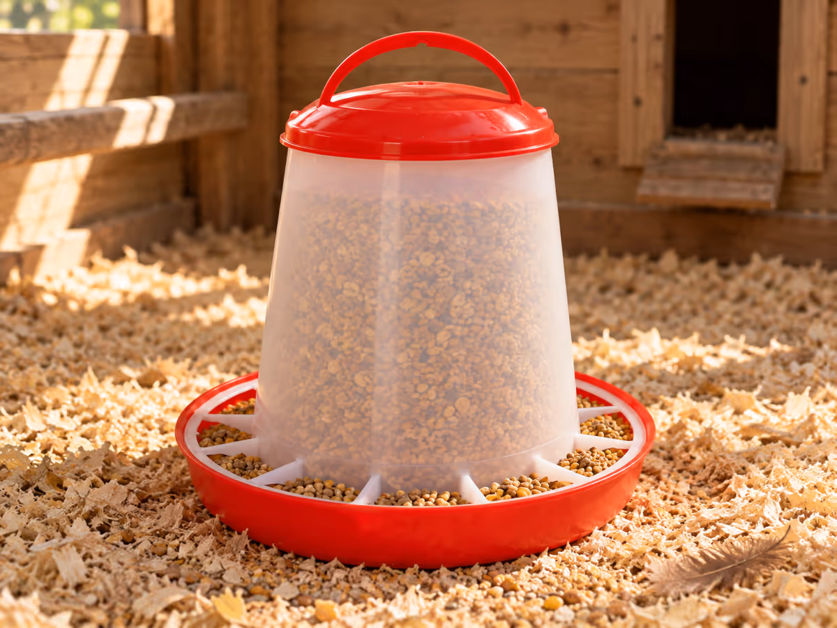 Mangeoire de 3 kg pleine de grain, corps translucide posé sur sa base rouge à godets, dans un poulailler éclairé par une lumière rasante du matin