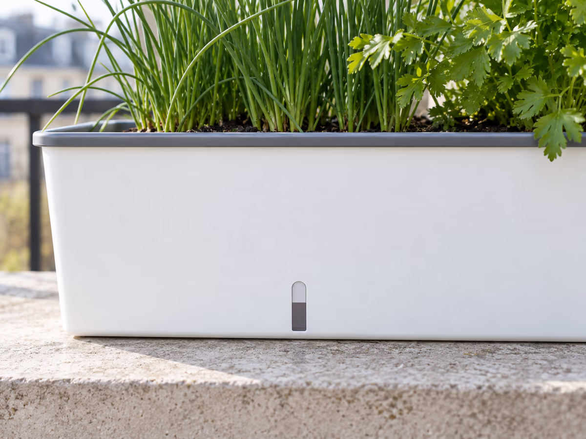 Gros plan sur la fenêtre de niveau d'eau d'une jardinière blanche, réserve à moitié pleine, sur un rebord de fenêtre
