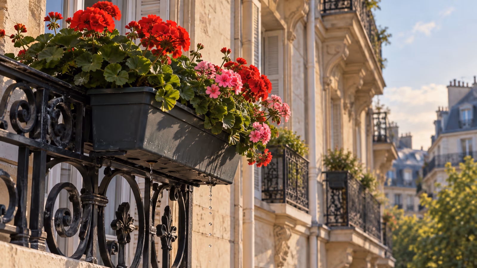 Gouttes d'eau tombant d'une jardinière au bord d'un balcon en ville, garde-corps métallique et façade en arrière-plan