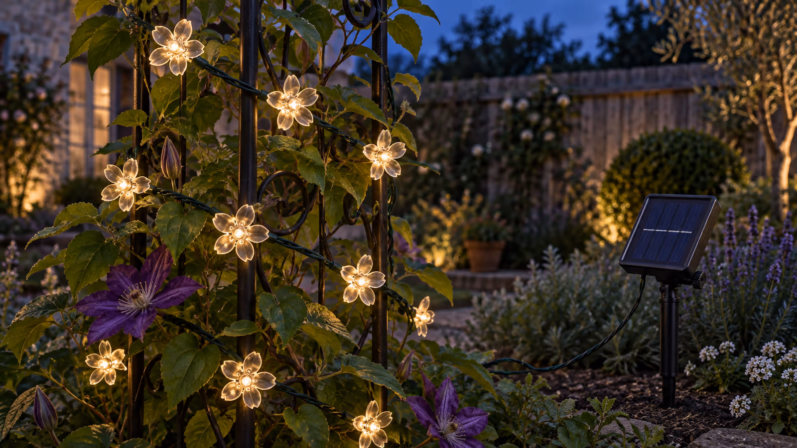 Rameaux de fleurs lumineuses blanc chaud enroulés en spirale lâche autour d'un treillis métallique derrière une jeune plante grimpante, au crépuscule