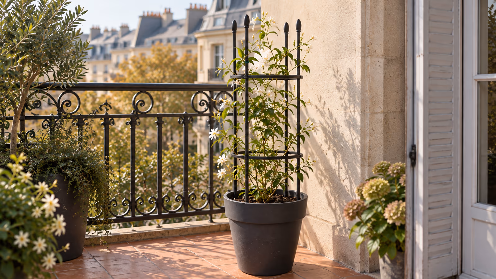 Tour de treillis métallique noir plantée dans un grand pot de balcon, tiges de jasmin enroulées autour des montants, garde-corps flou en arrière-plan
