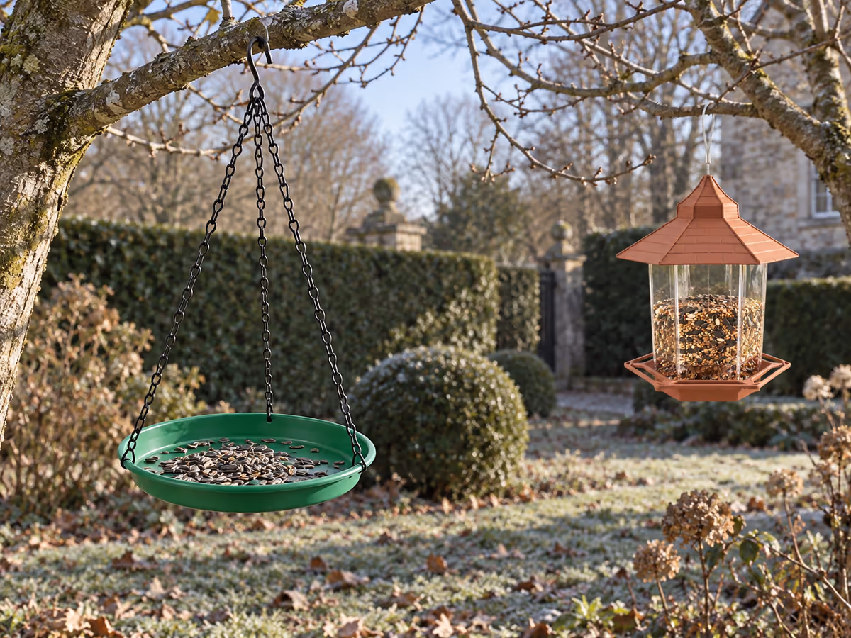 Jardin d'hiver avec un plateau vert suspendu à un érable et un silo accroché à un autre arbre à quelques mètres