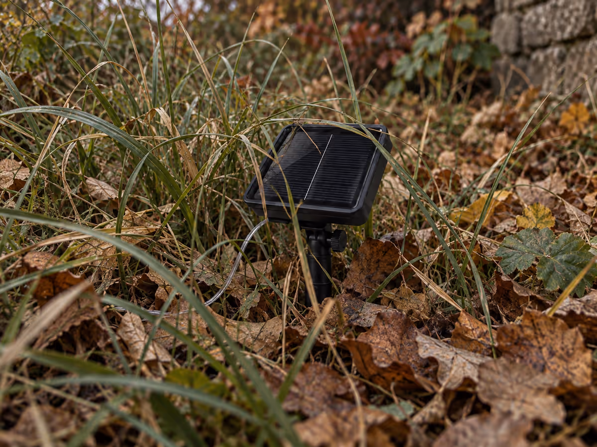 Piquet solaire étouffé par des herbes hautes et des feuilles mortes en automne