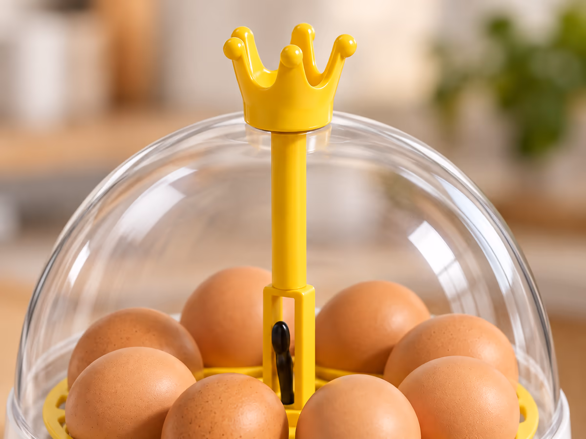 Gros plan sur la couronne jaune au sommet du dôme transparent d'une couveuse compacte, axe central en vue
