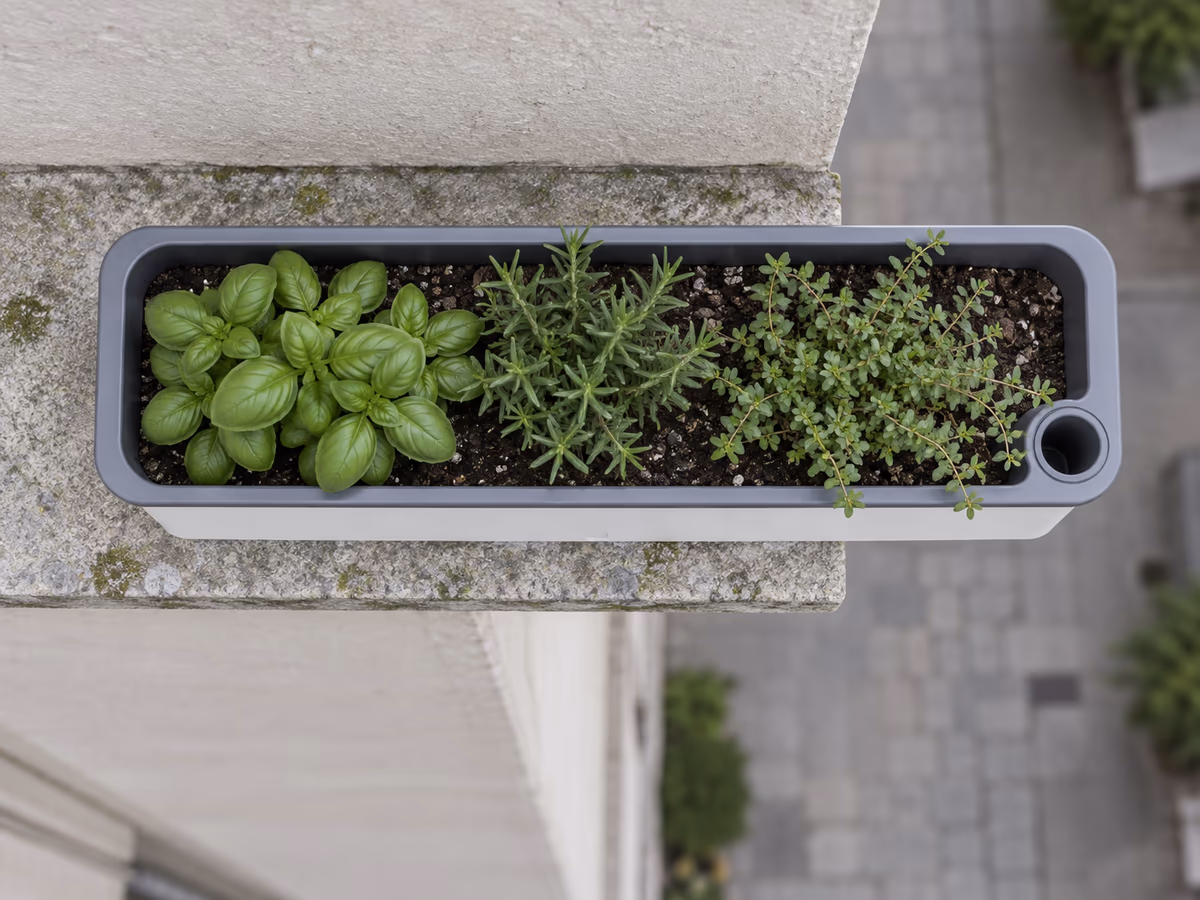 Vue de dessus d'une jardinière étroite posée sur un rebord de pierre, une extrémité qui dépasse au-dessus du vide